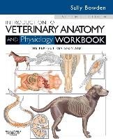 Introduction to Veterinary Anatomy and Physiology Workbook Bowden Sally Vn J.