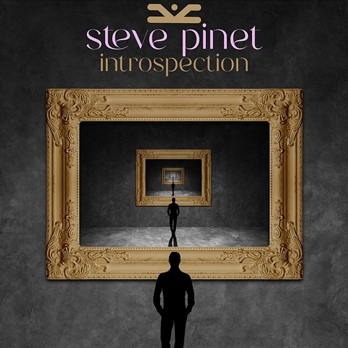 Introspection Steve Pinet