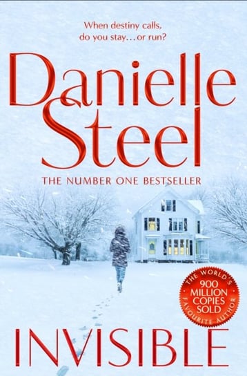 Invisible: A compelling story of ambition and pursuing a dream from the billion copy bestseller Steel Danielle
