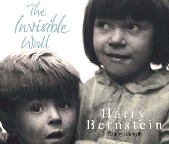 Invisible Wall Bernstein Harry