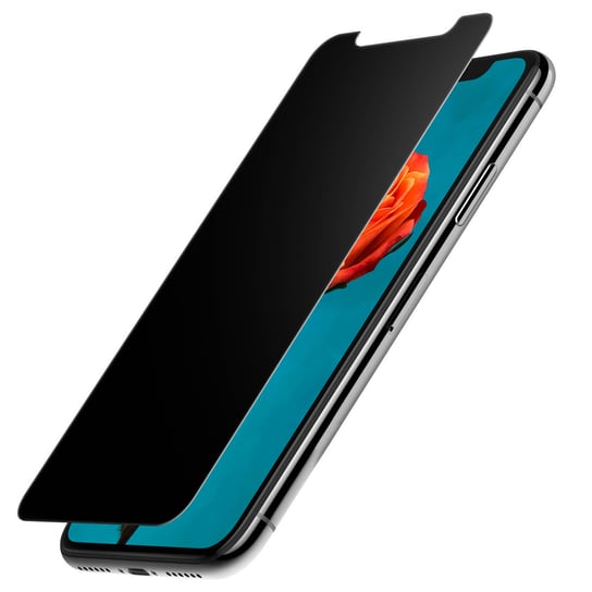 iPhone X / XS anti-spy Tempered Glass Protection LifeGlass guaranteed Force Glass