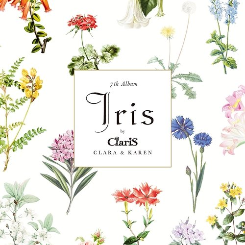 Iris Claris