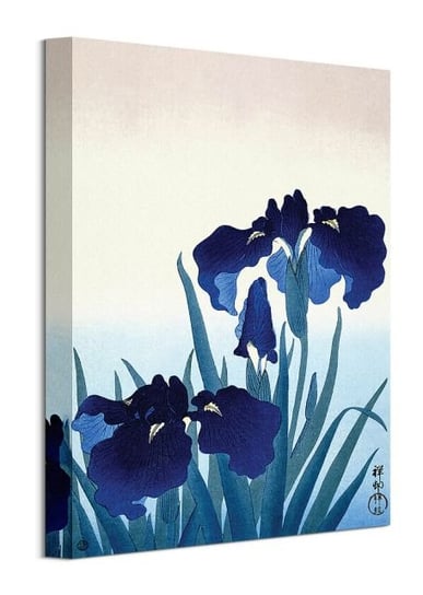 Iris Flowers - obraz na płótnie Art Group