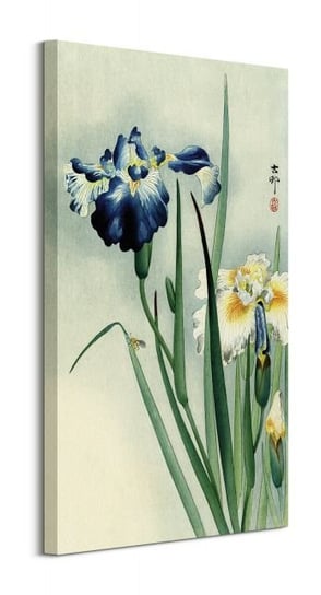 Irises - obraz na płótnie Art Group