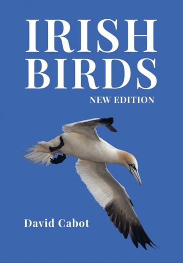Irish Birds David Cabot