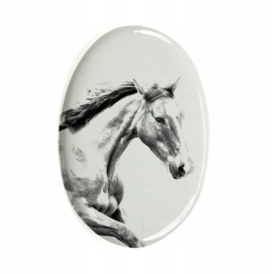 Irlandzki koń sportowy Płytka ceramiczna pamiątka Inna marka