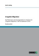 Irreguläre Migration Ludwig Anett