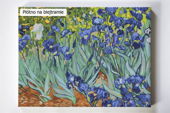 Irysy Van Gogh, Vincent, kwiaty, irys, malowanie po numerach Akrylowo