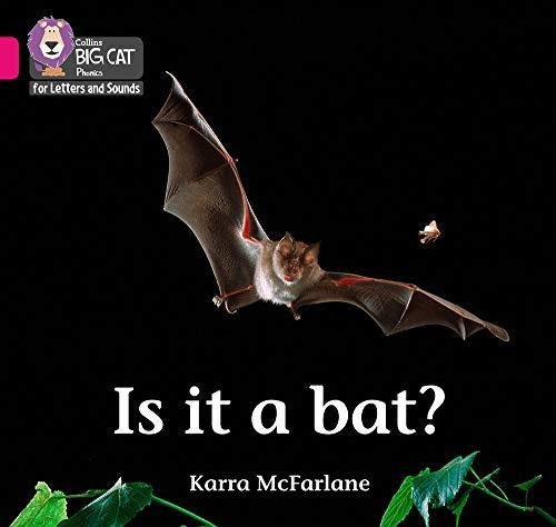 Is it a Bat? Karra McFarlane