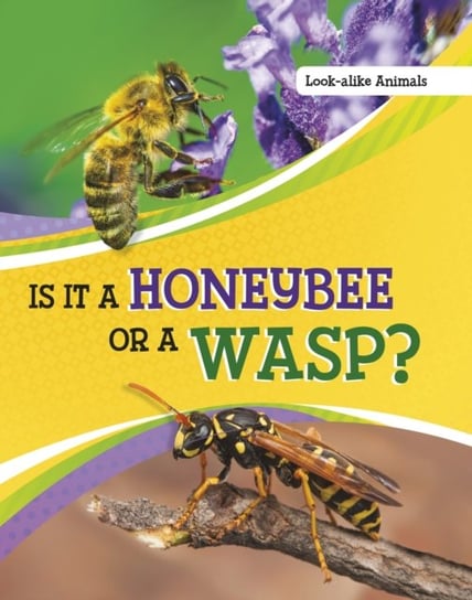 Is It a Honeybee or a Wasp? Susan B. Katz