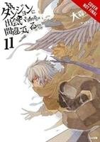 Is It Wrong to Try to Pick Up Girls in a Dungeon?, Vol. 11 (light novel) Omori Fujino