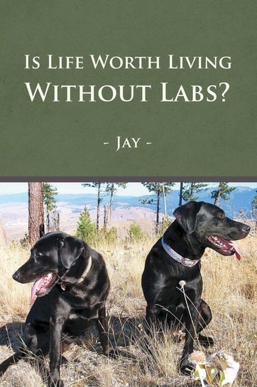 Is Life Worth Living Without Labs? Jay