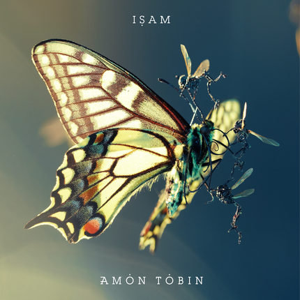 Isam Tobin Amon