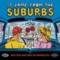 It Came from the Suburbs: Rare Teen Rock from the Kennedy Era Various Artists