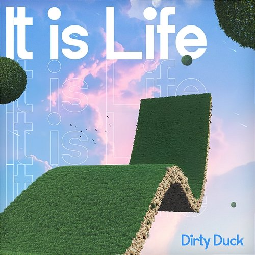 It Is Life Dirty Duck