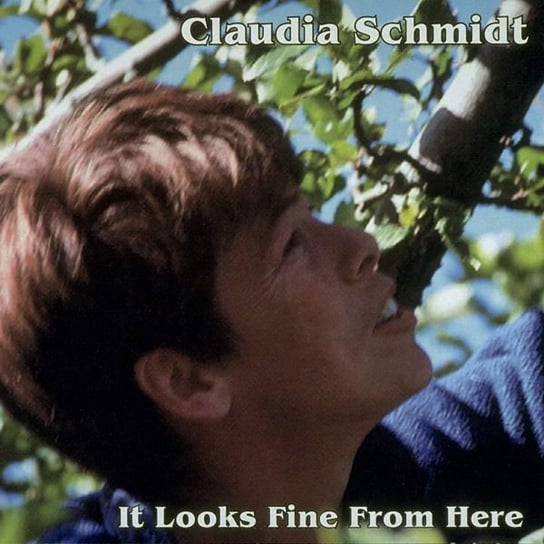 It Looks Fine From Here Schmidt Claudia