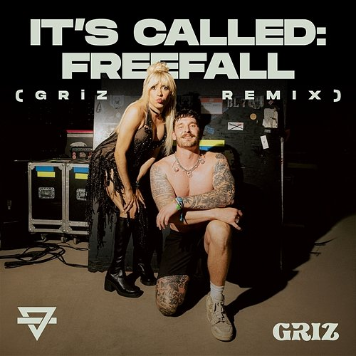 It's Called: Freefall GRiZ, Rainbow Kitten Surprise