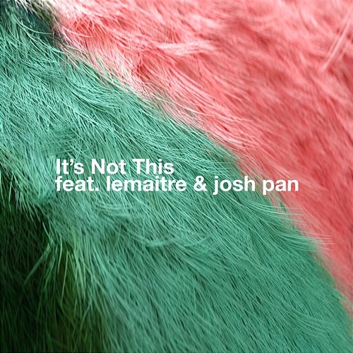 It's Not This Bearson, josh pan, Lemaitre