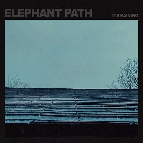 It's Raining Elephant Path