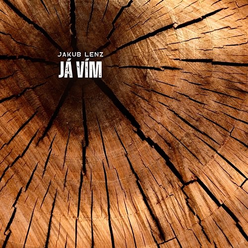 Já vím Jakub Lenz Trio & Robin Mood