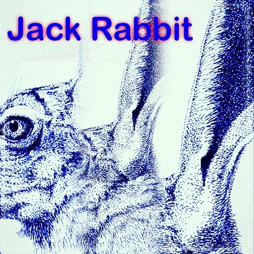 Jack Rabbit Jack Rabbit