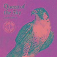 Jackie Morris Queen of the Sky Notecards Pack 1 Morris Jackie