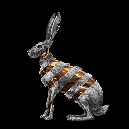 Jackrabbit San Fermin