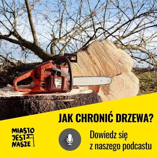 Jak chronić drzewa w mieście? | Łukasz Porębski - Miasto Jest Nasze - podcast Opracowanie zbiorowe