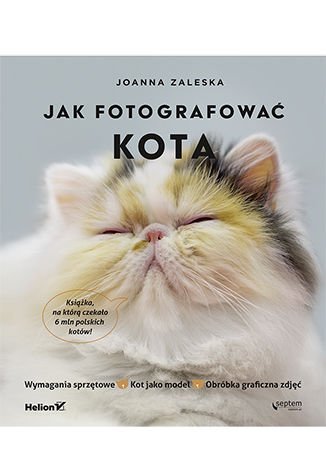 Jak fotografować kota Zaleska Joanna
