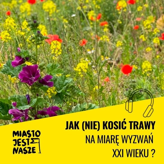 Jak (nie) kosić traw na miarę wyzwań XXI wieku? - Miasto Jest Nasze - podcast Opracowanie zbiorowe