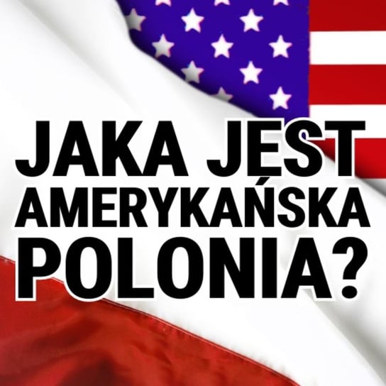 Jak Polska jest postrzegana w USA?Jaka jest współczesna Polonia amerykańska? Zbigniew Klonowski - Układ Otwarty - podcast Janke Igor