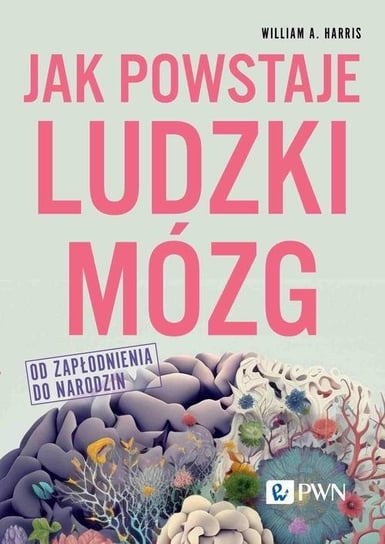 Jak powstaje ludzki mózg. Od zapłodnienia do narodzin - ebook epub William A. Harris