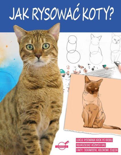 Jak rysować koty? Opracowanie zbiorowe