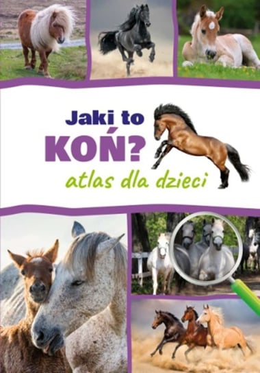 Jaki to koń? Atlas dla dzieci Twardowska Kamila, Twardowski Jacek