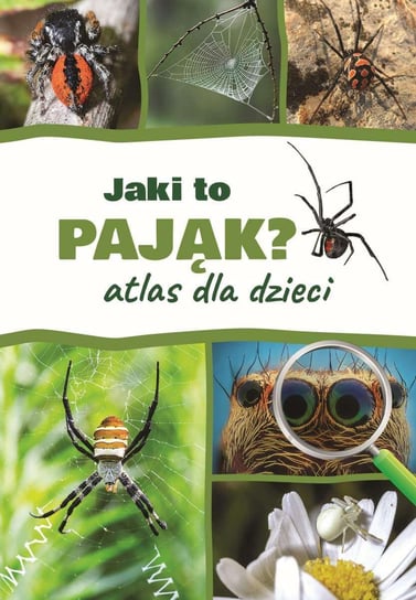 Jaki to pająk? Atlas dla dzieci - ebook PDF Twardowski Jacek