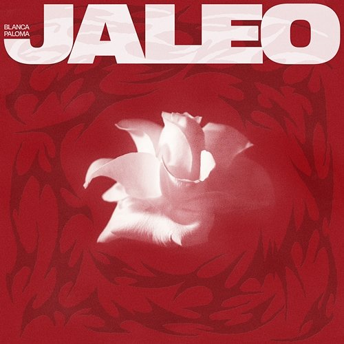 Jaleo Blanca Paloma