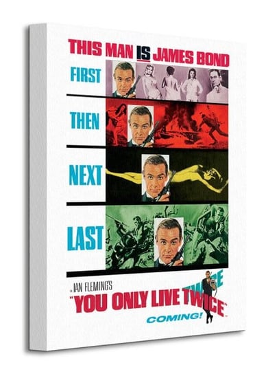James Bond You Only Live Twice Teaser - obraz na płótnie James Bond