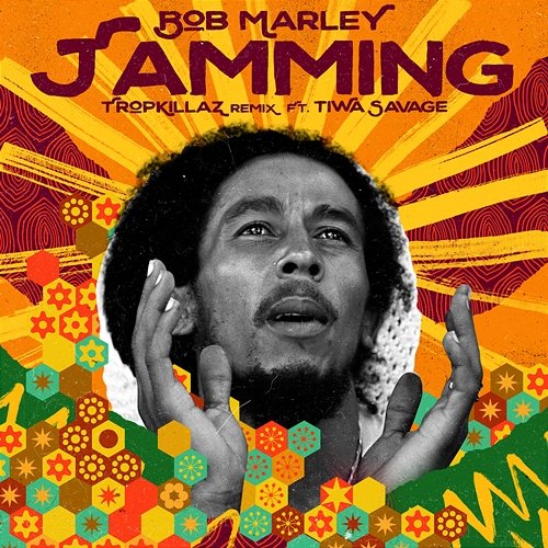 Jamming Bob Marley & The Wailers feat. Tiwa Savage, Tropkillaz