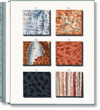 Jan Christiaan Sepp. The Book of Marble Taschen Verlag