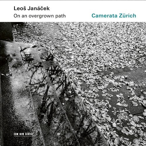 Janáček: On An Overgrown Path (Po zarostlém chodnicku), JW 8/17 - Arr. Rumler for String Orchestra / Book I: 10. The Barn Owl Has Flown Away! Camerata Zürich, Igor Karsko