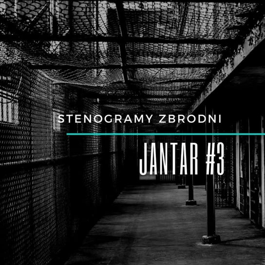JANTAR #3 - Stenogramy zbrodni - podcast Wielg Piotr