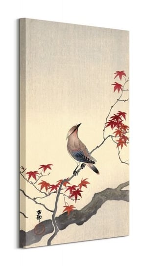 Japanese Waxwing on Maple - obraz na płótnie Art Group