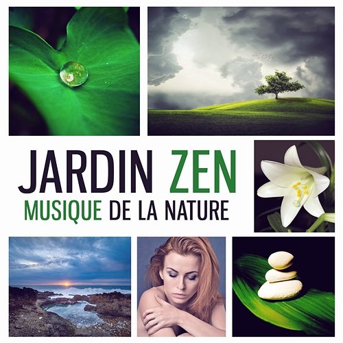 Jardin zen: Musique de la nature – Spa relaxation et massage ayurvédique pour de-stresser rapidement, Détente totale et bien-être Spa Musique Collection