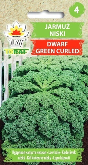 Jarmuż DWARF GREEN CURLED (niski - zielony) 
Brassica oleracea L. var. acephala Toraf