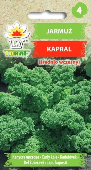 Jarmuż KAPRAL (zielony)
Brassica oleracea L. var. acephala Toraf