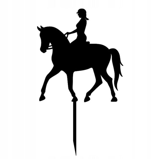Jazda konna Dziewczyna kobieta na koniu Koń Topper Pamario