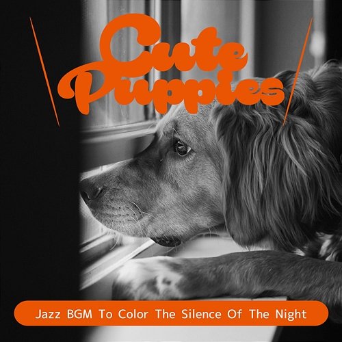 Jazz Bgm to Color the Silence of the Night Cute Puppies