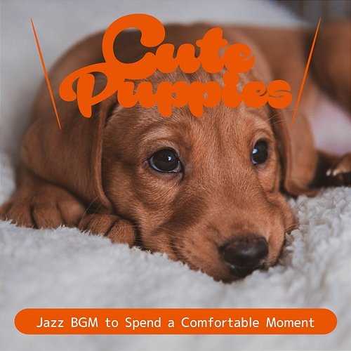 Jazz Bgm to Spend a Comfortable Moment Cute Puppies