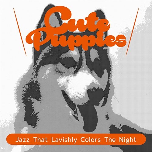 Jazz That Lavishly Colors the Night Cute Puppies