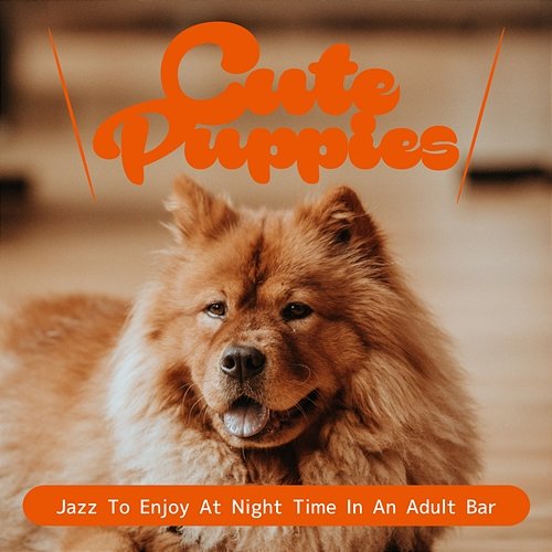 Jazz to Enjoy at Night Time in an Adult Bar Cute Puppies